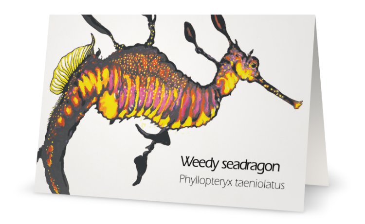 Weedy seadragon drawing greeting card