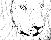 Realistic Lion Coloring Page